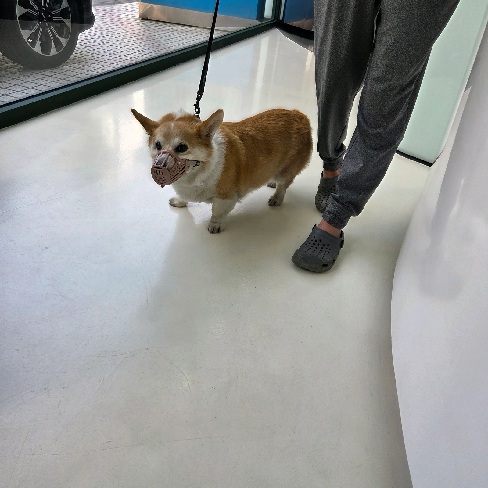 리뷰 사진 2