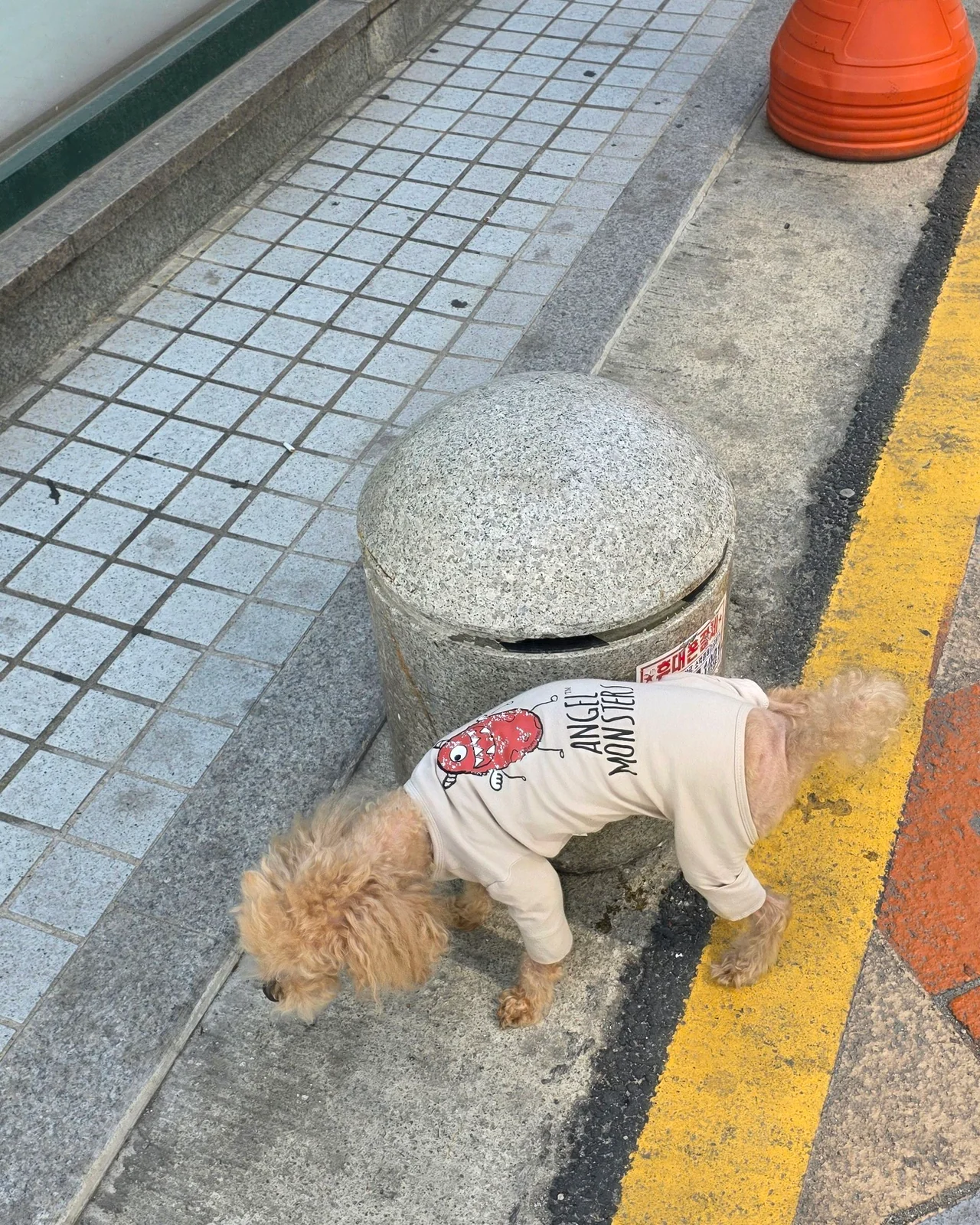 리뷰 사진 3