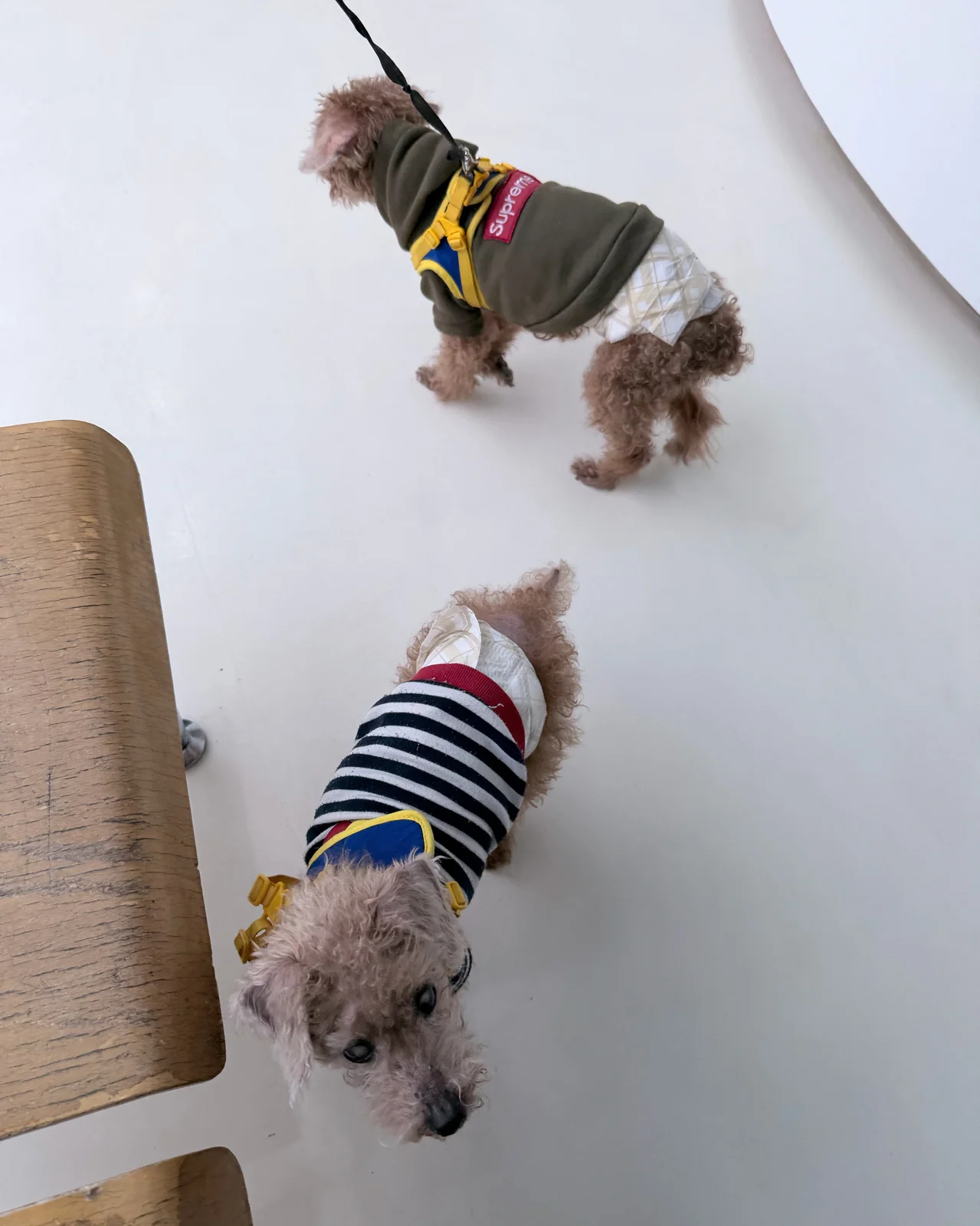 리뷰 사진 2