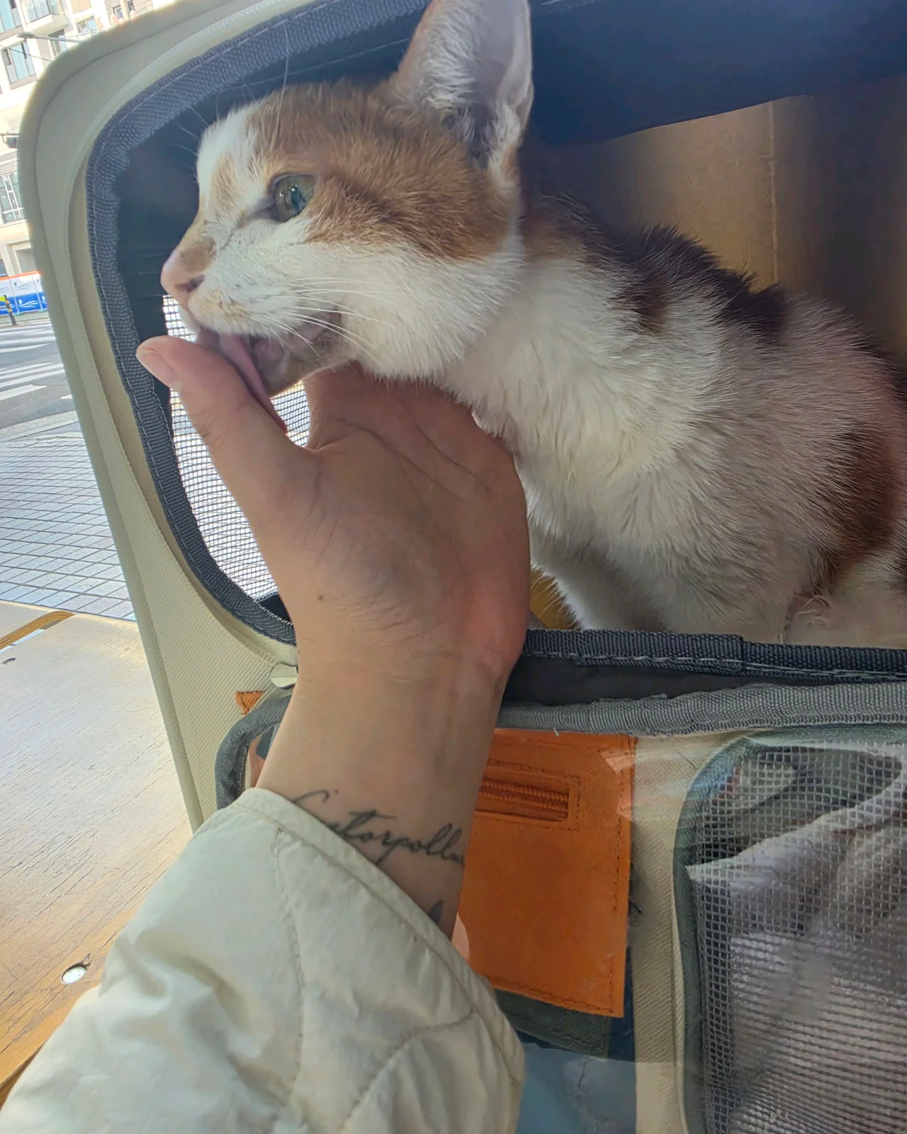 리뷰 사진 2