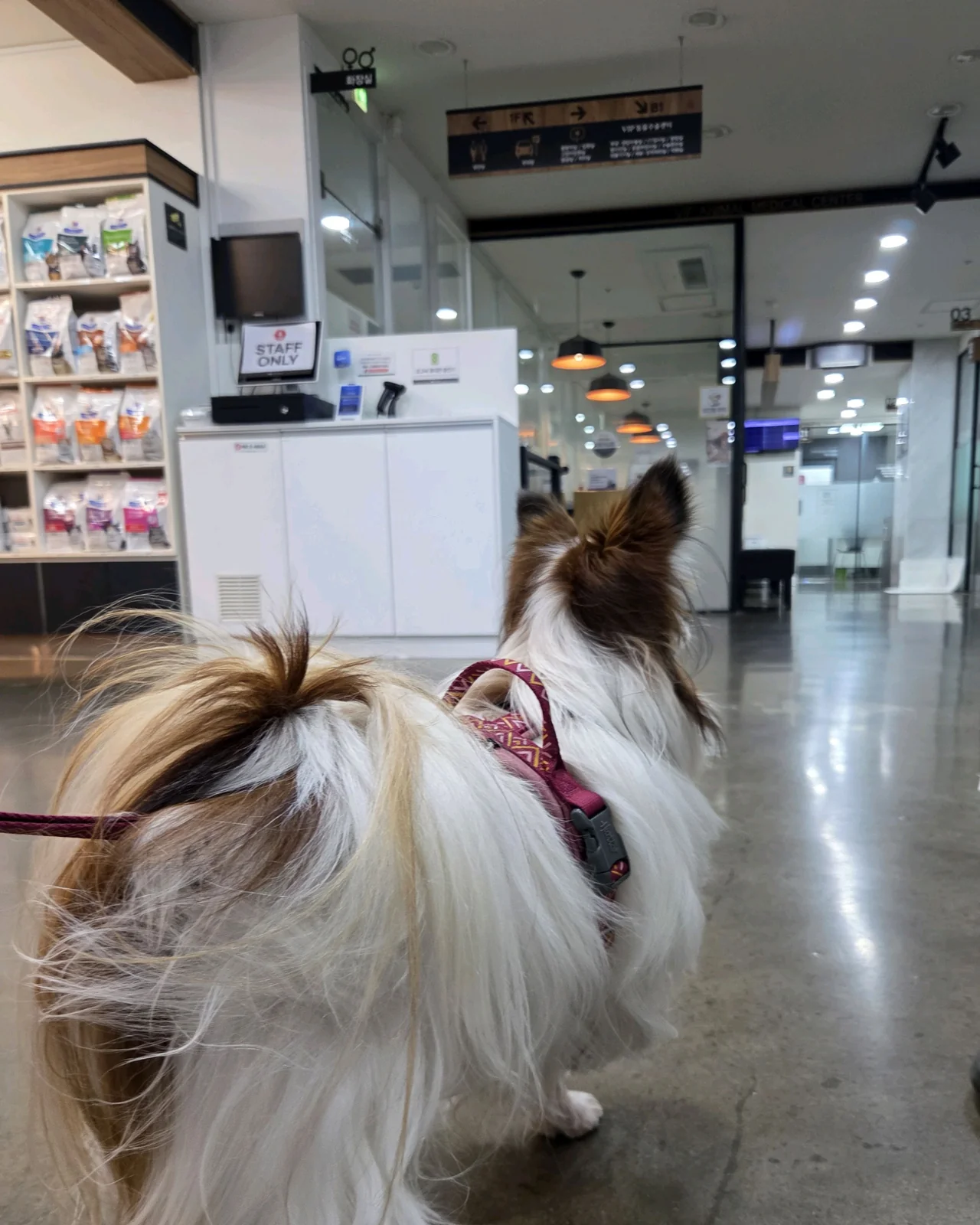 리뷰 사진 1