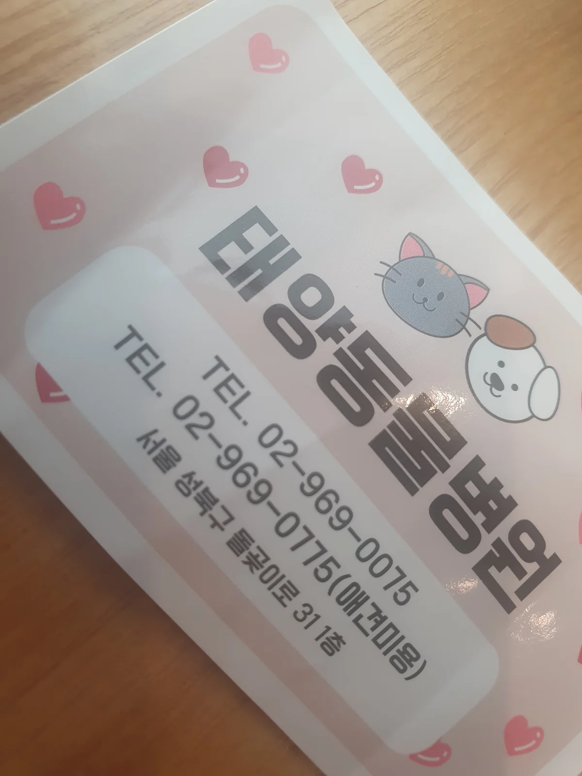 리뷰 사진 1