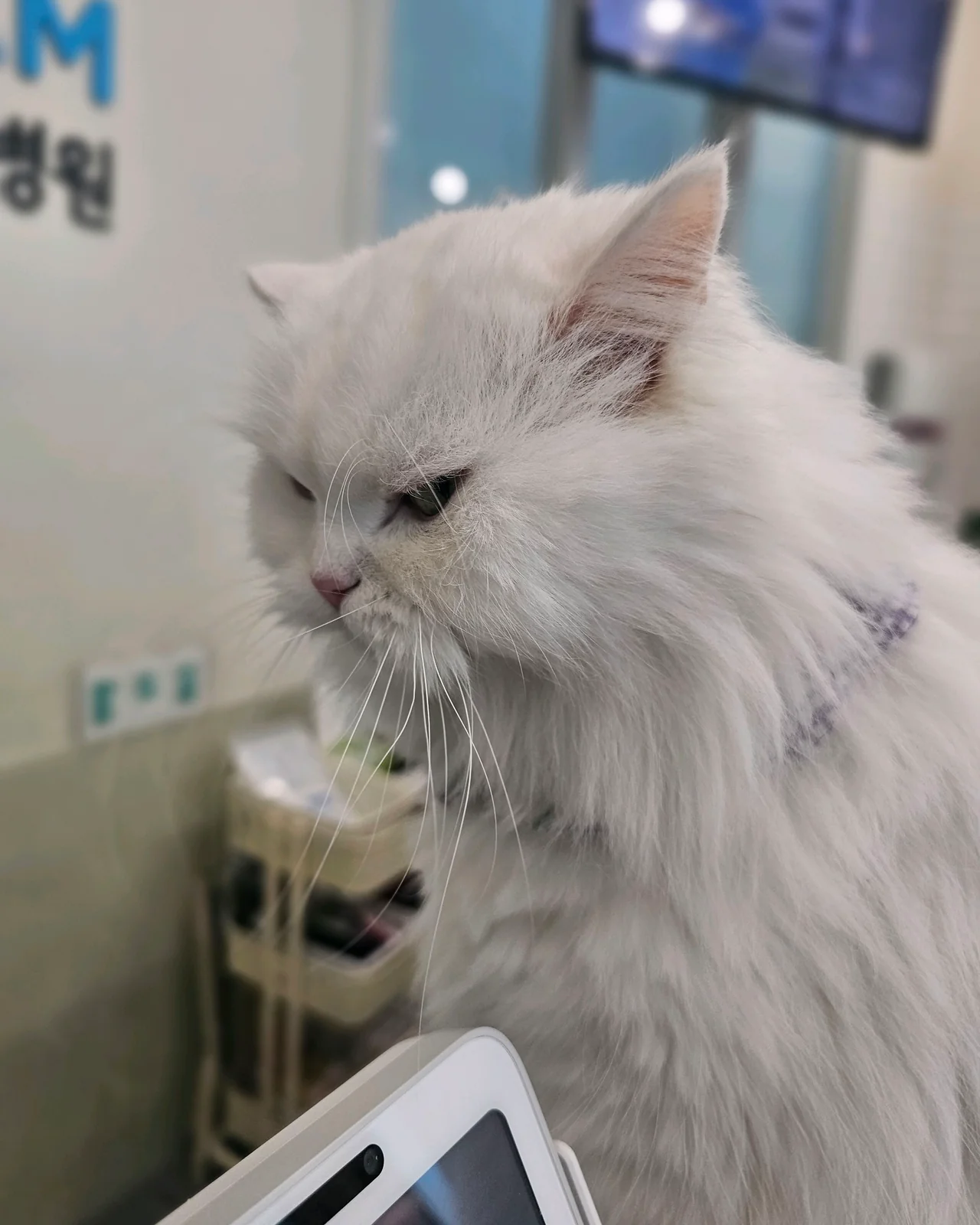 리뷰 사진 1