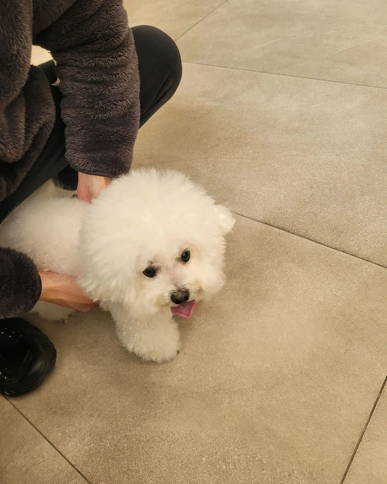 리뷰 사진 1