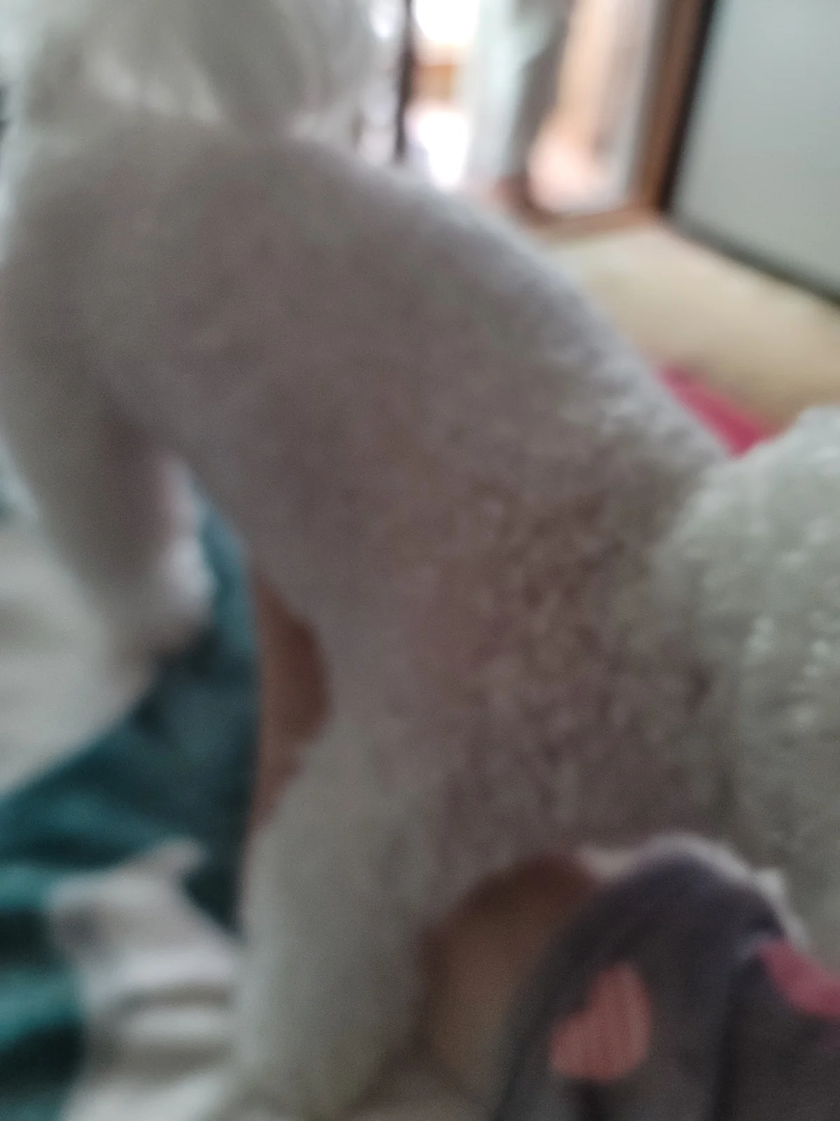 리뷰 사진 1