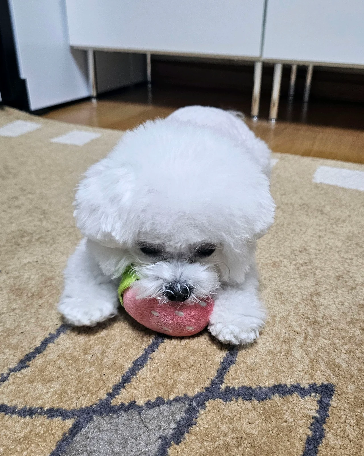 리뷰 사진 1
