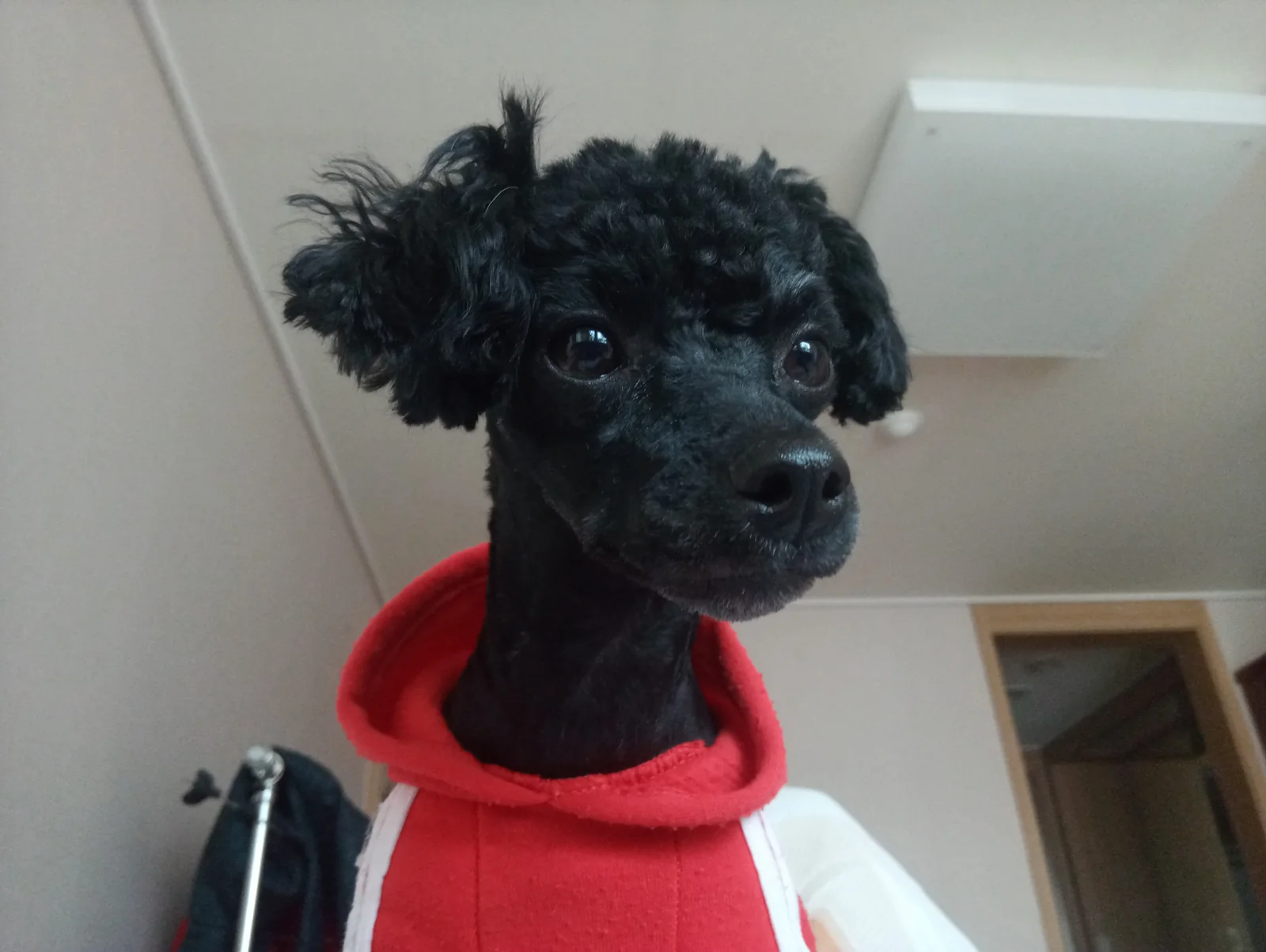 리뷰 사진 1