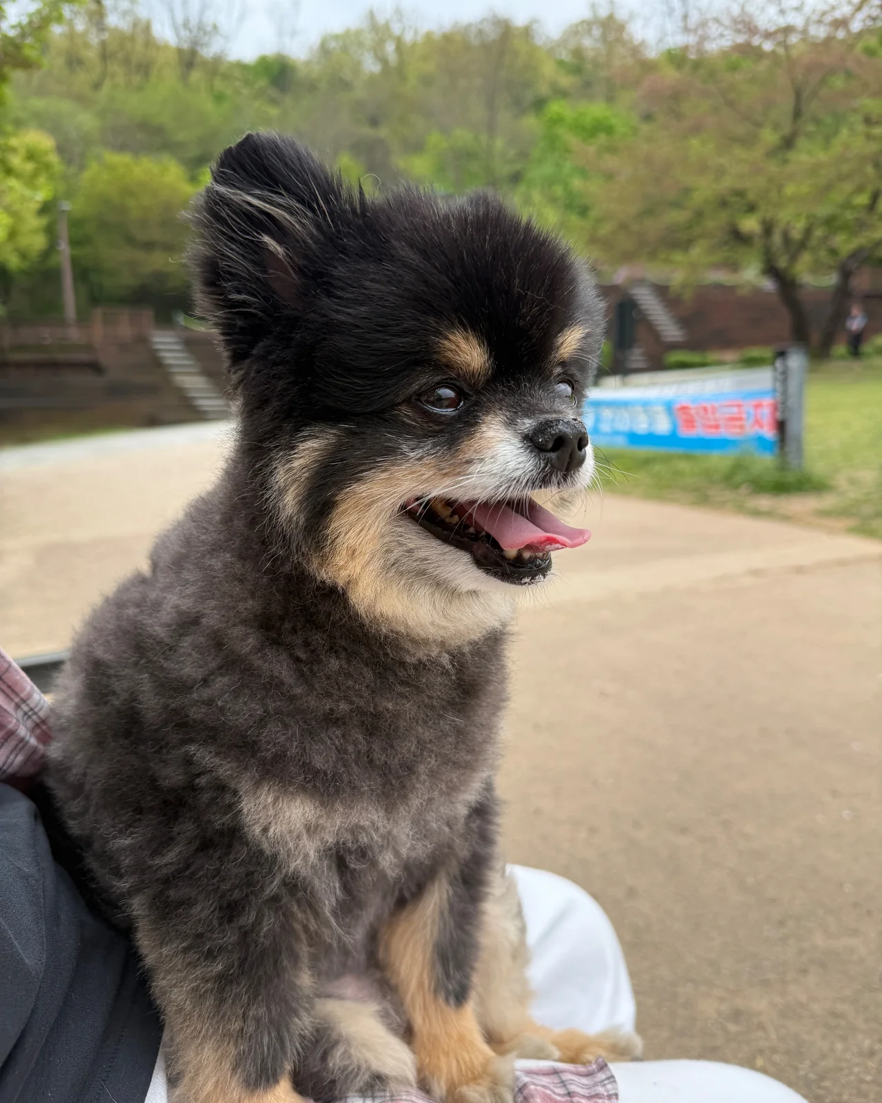 리뷰 사진 1
