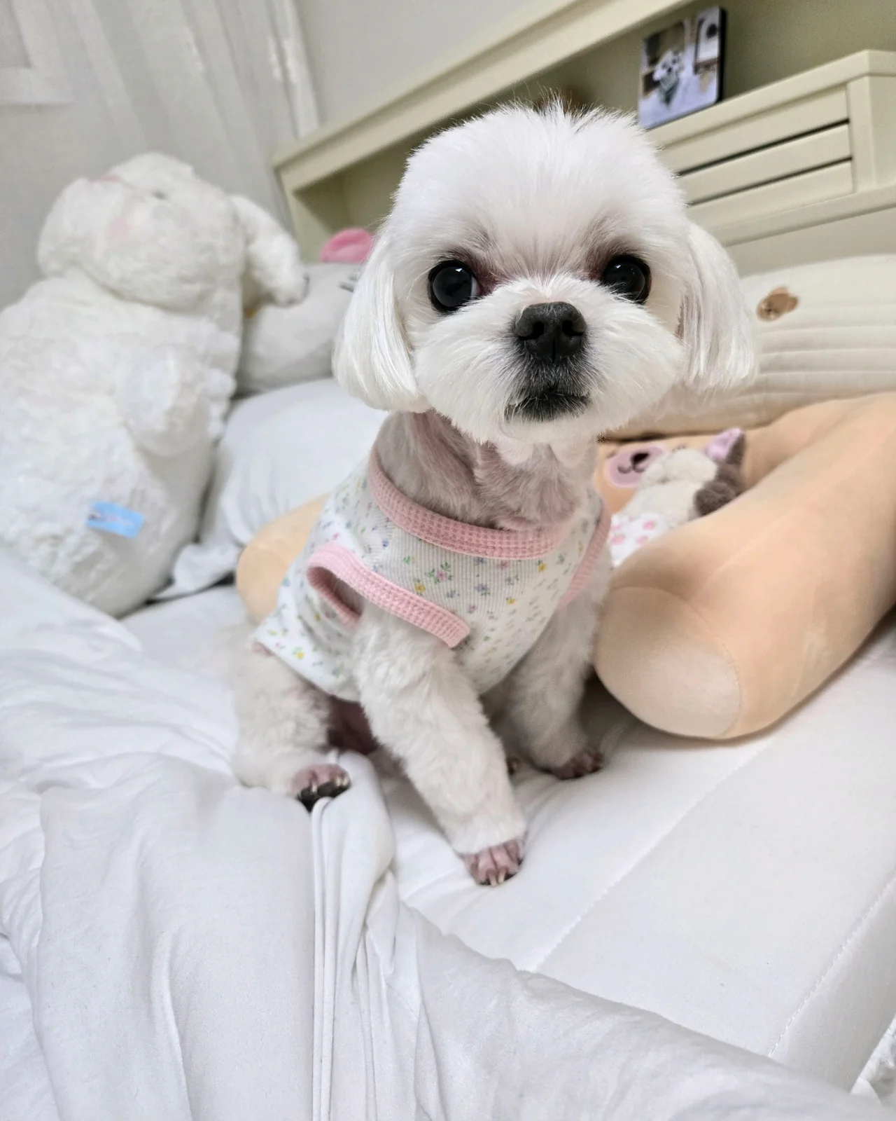 리뷰 사진 2