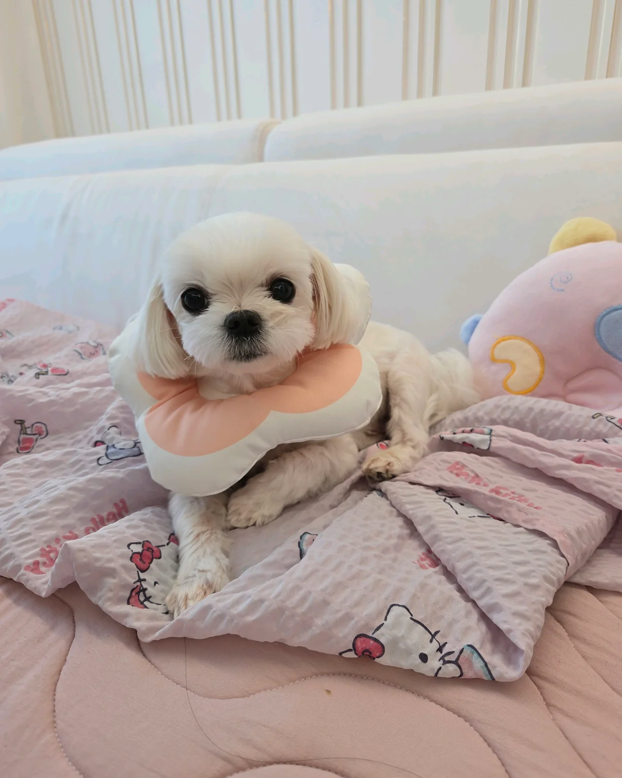 리뷰 사진 4