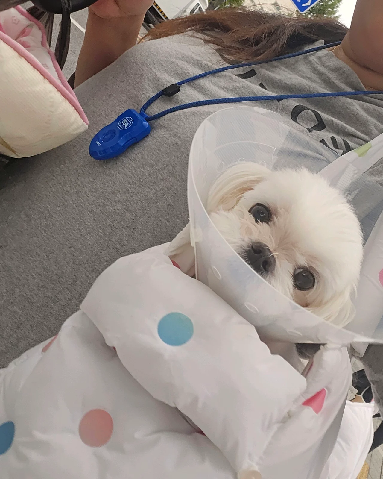 리뷰 사진 5