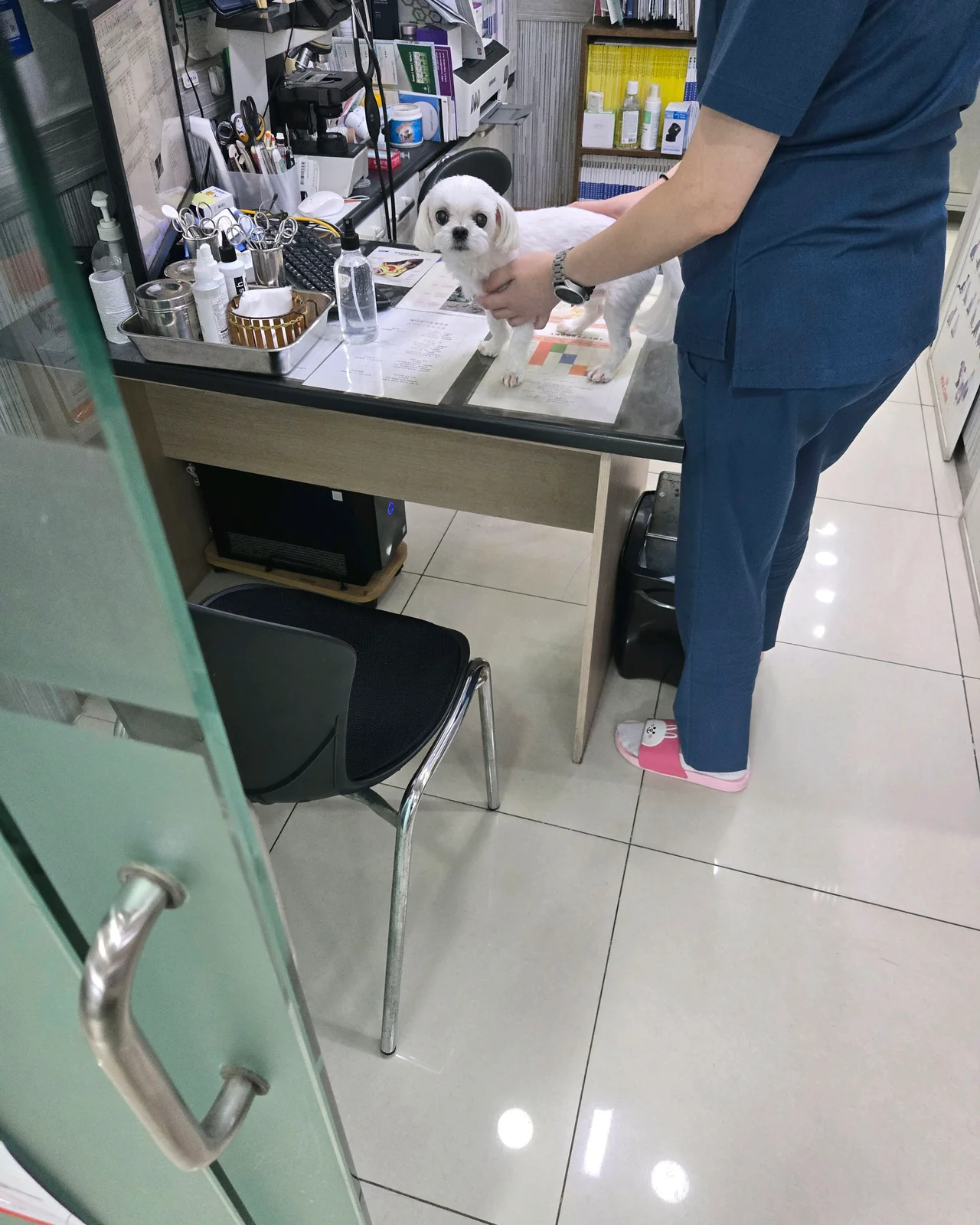 리뷰 사진 6
