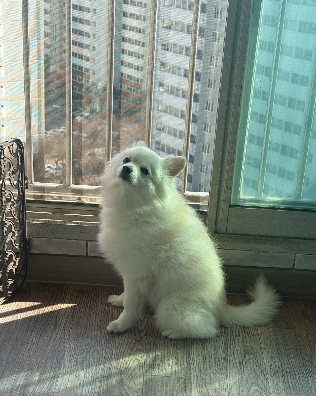 리뷰 사진 1