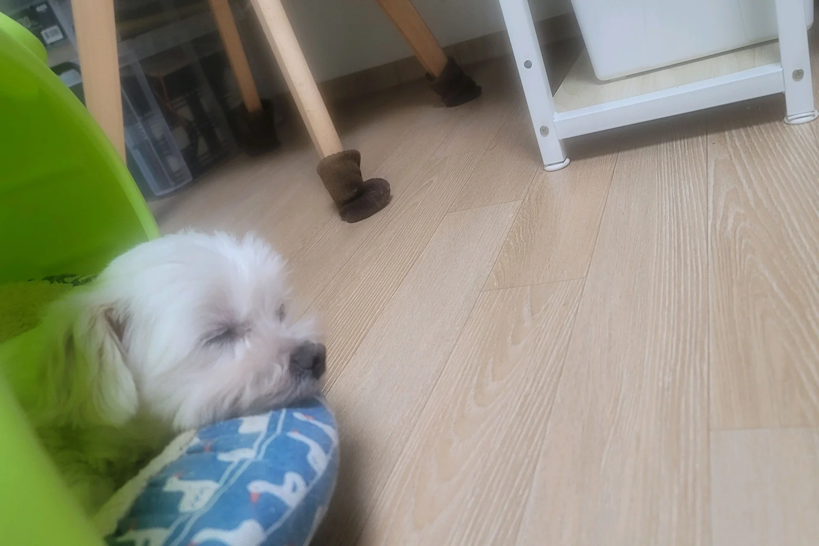 리뷰 사진 1