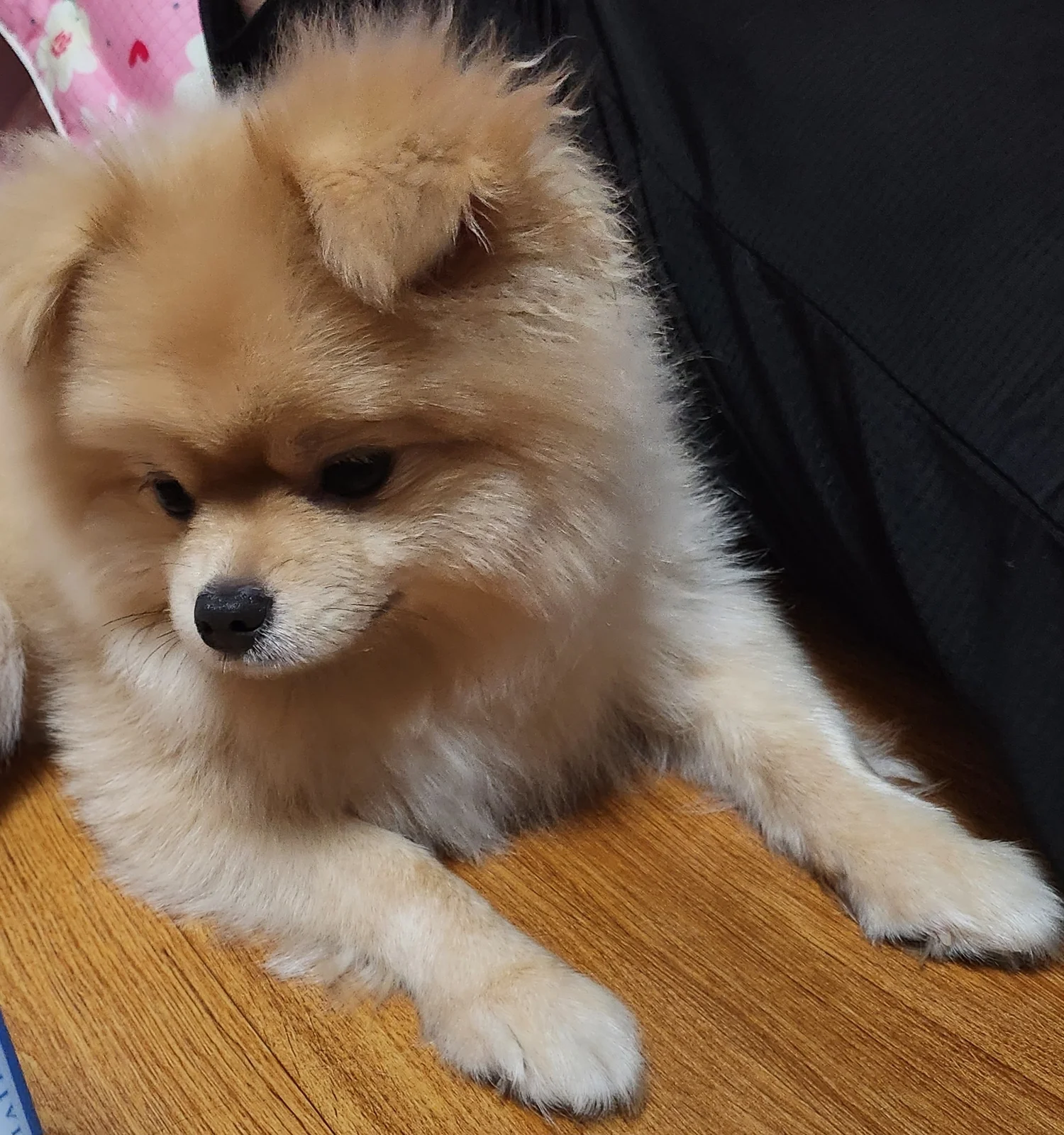 리뷰 사진 1
