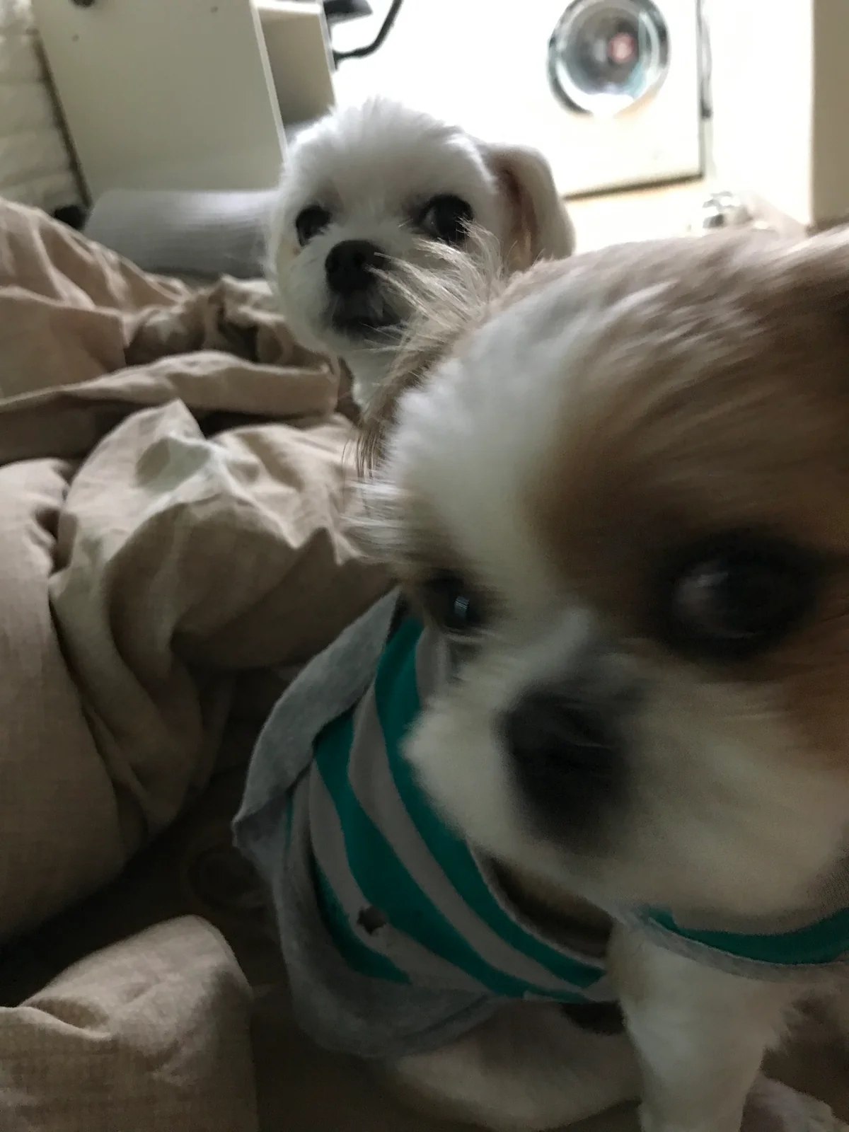 리뷰 사진 1