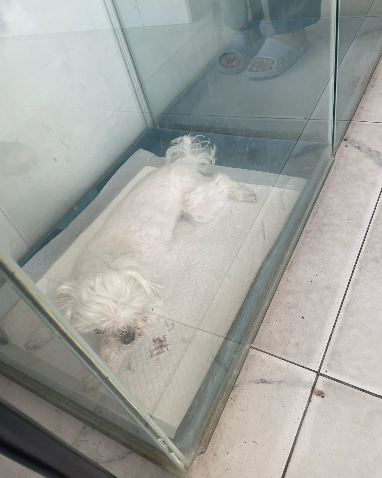 리뷰 사진 1
