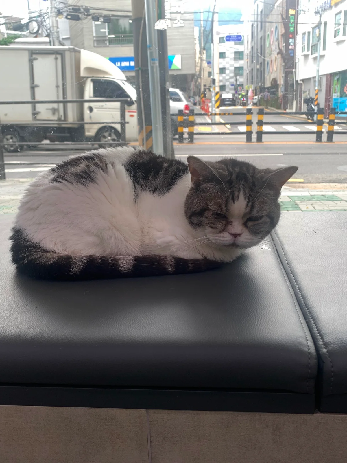 리뷰 사진 1