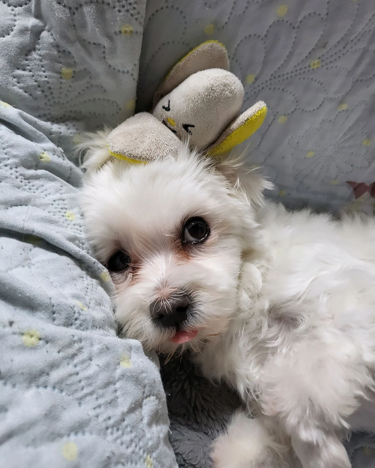 리뷰 사진 1
