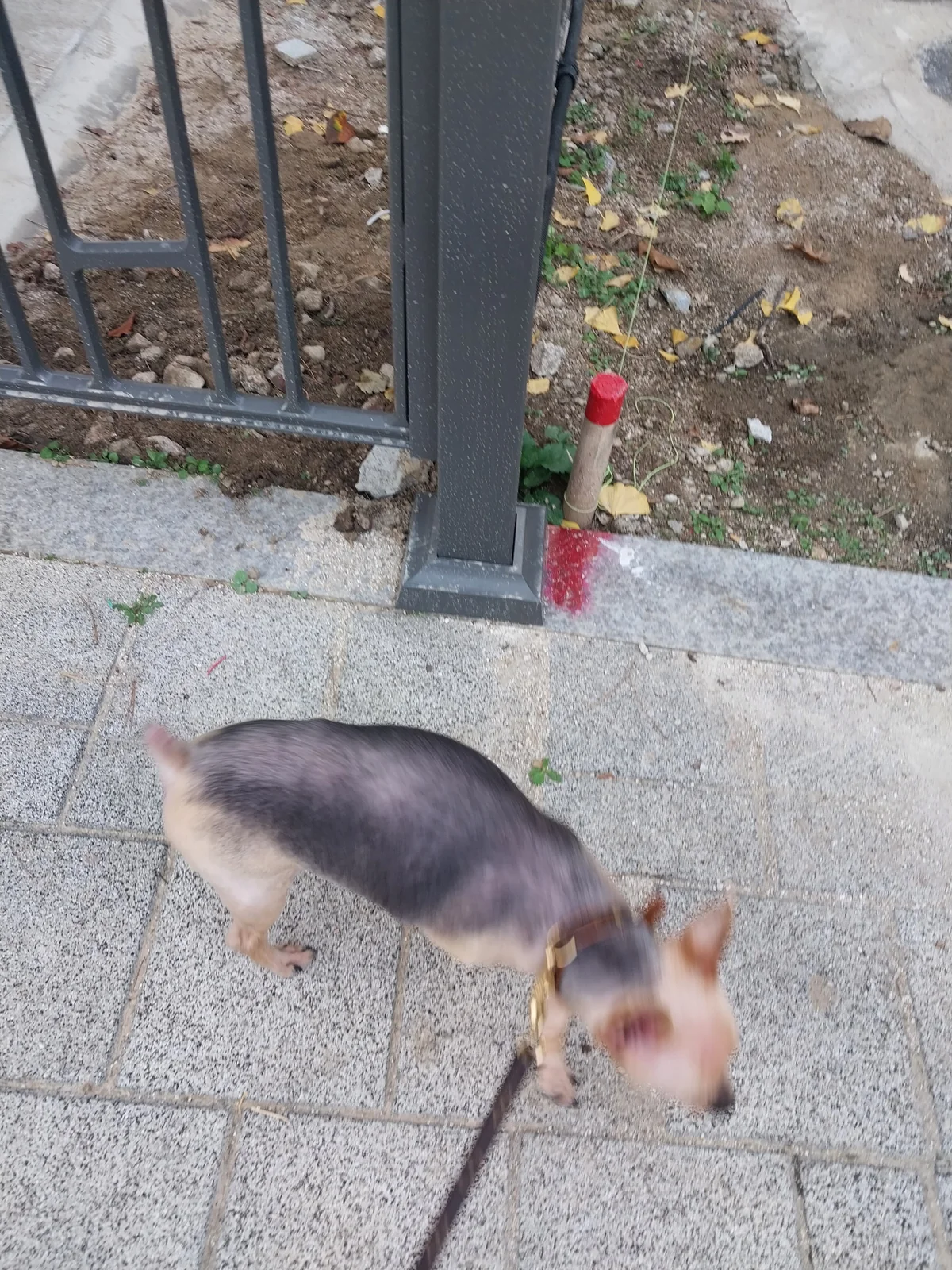 리뷰 사진 1
