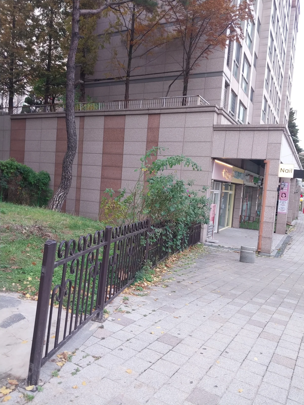 리뷰 사진 2