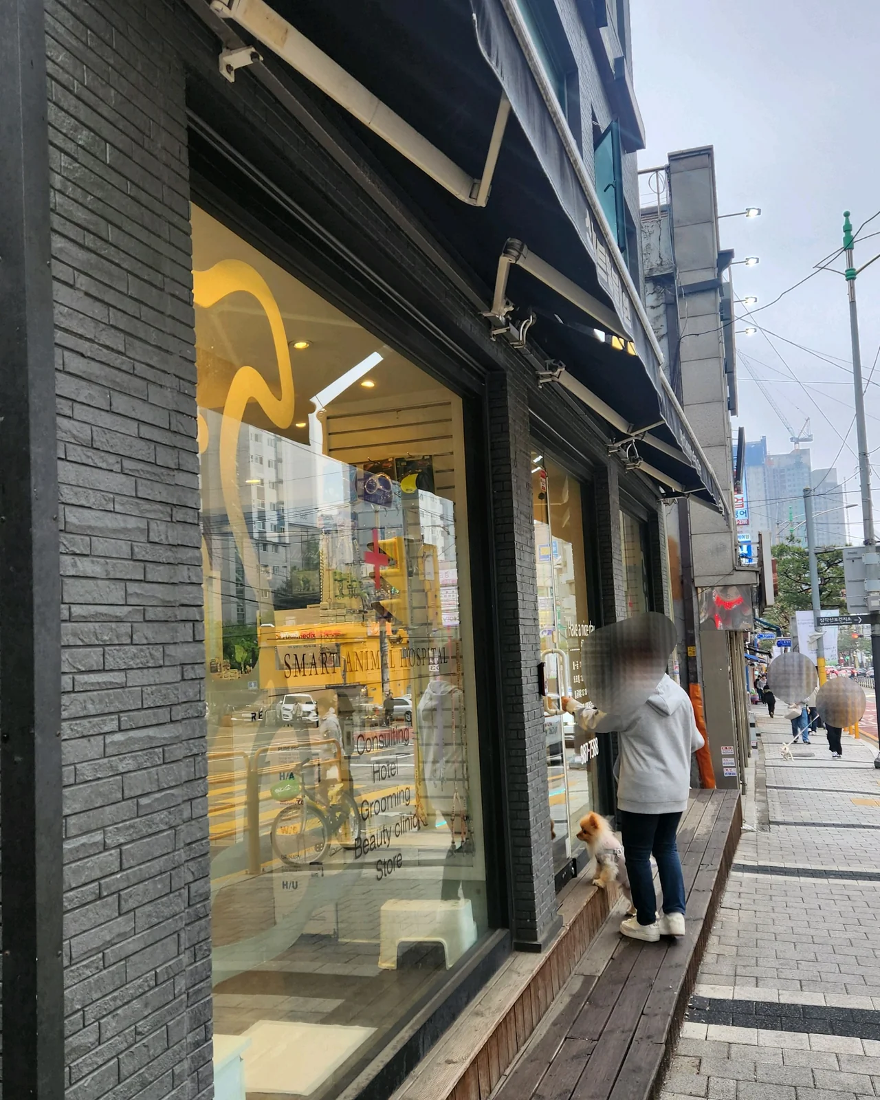 스마트 동물병원 사진 2