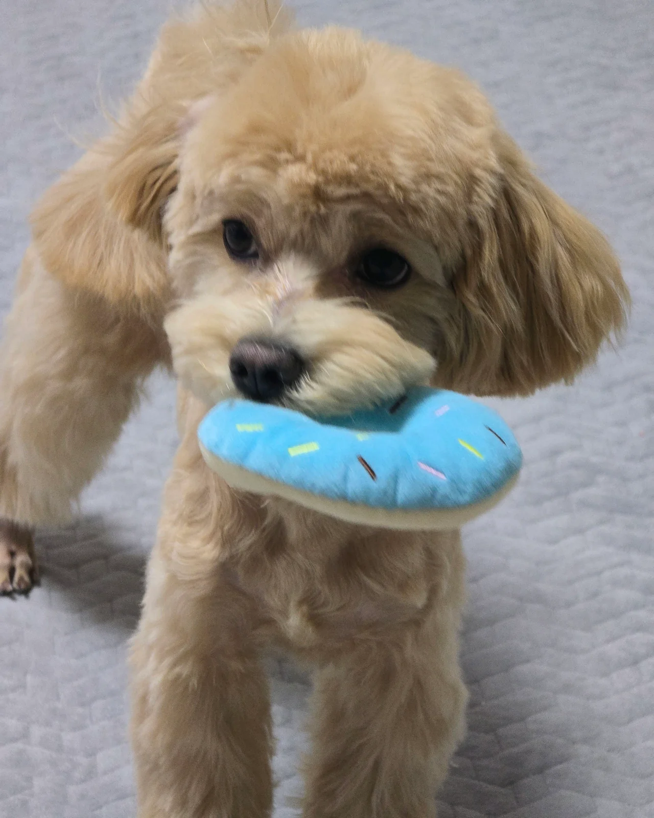 리뷰 사진 1