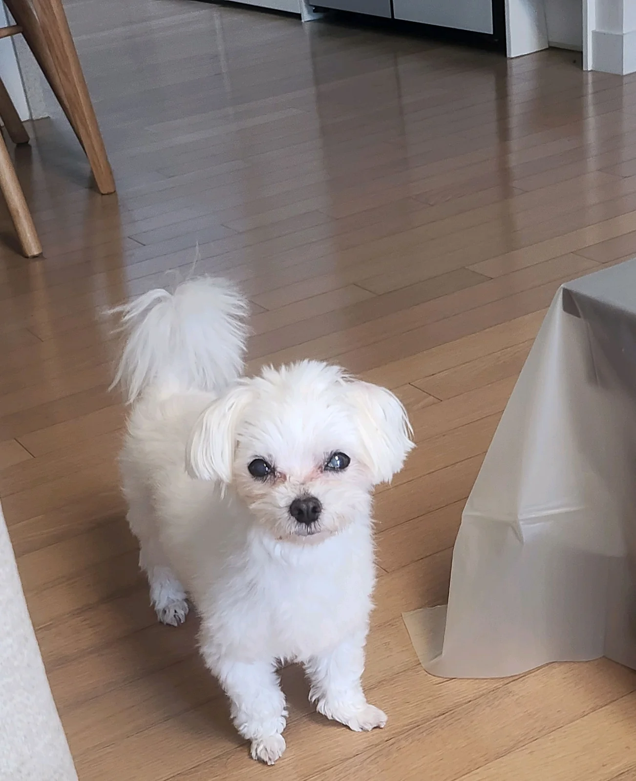 리뷰 사진 1