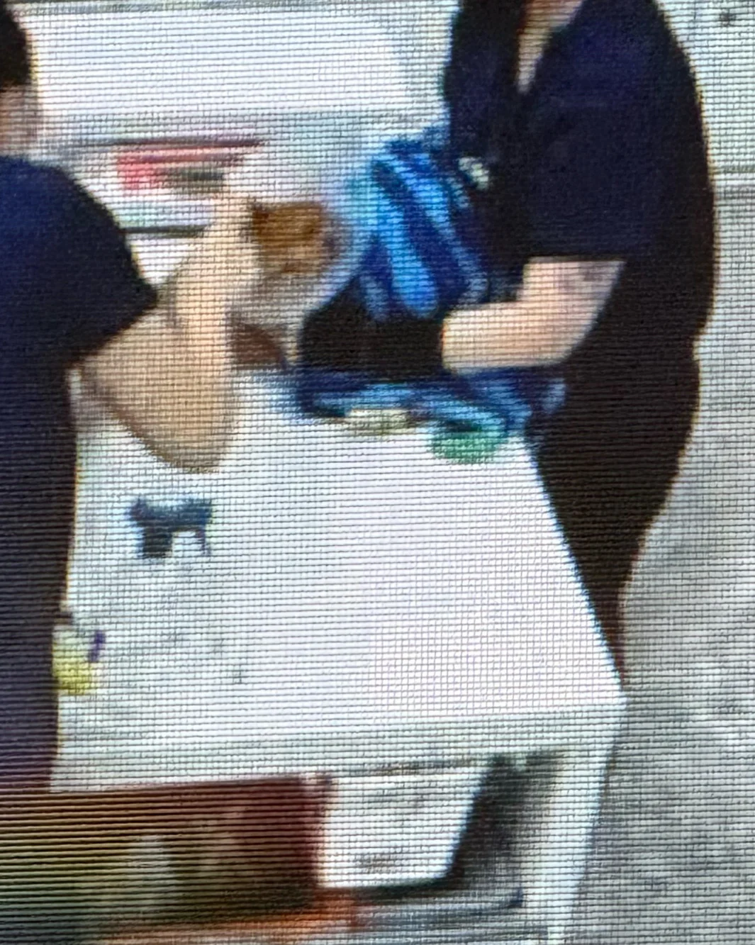 리뷰 사진 1