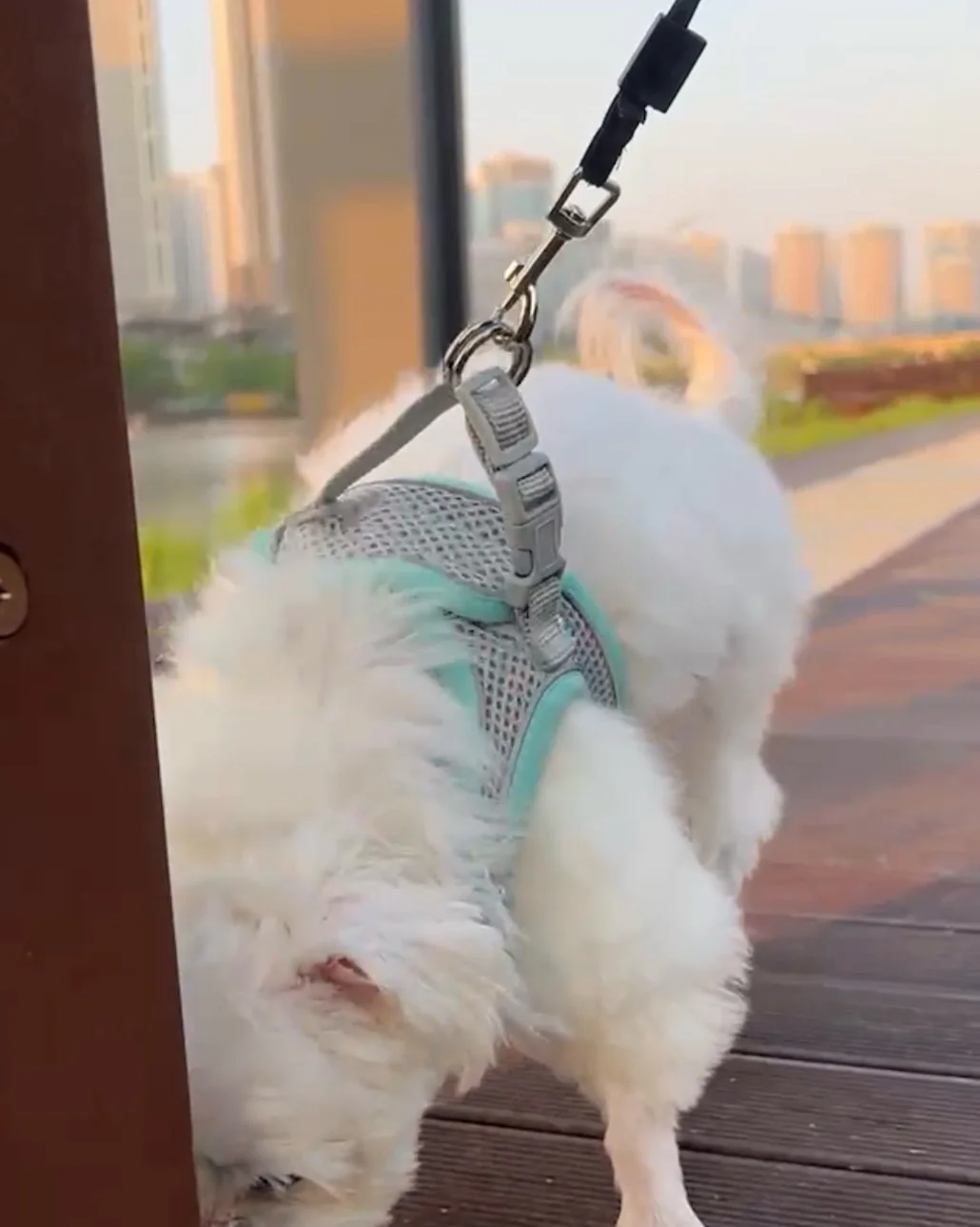 리뷰 사진 1