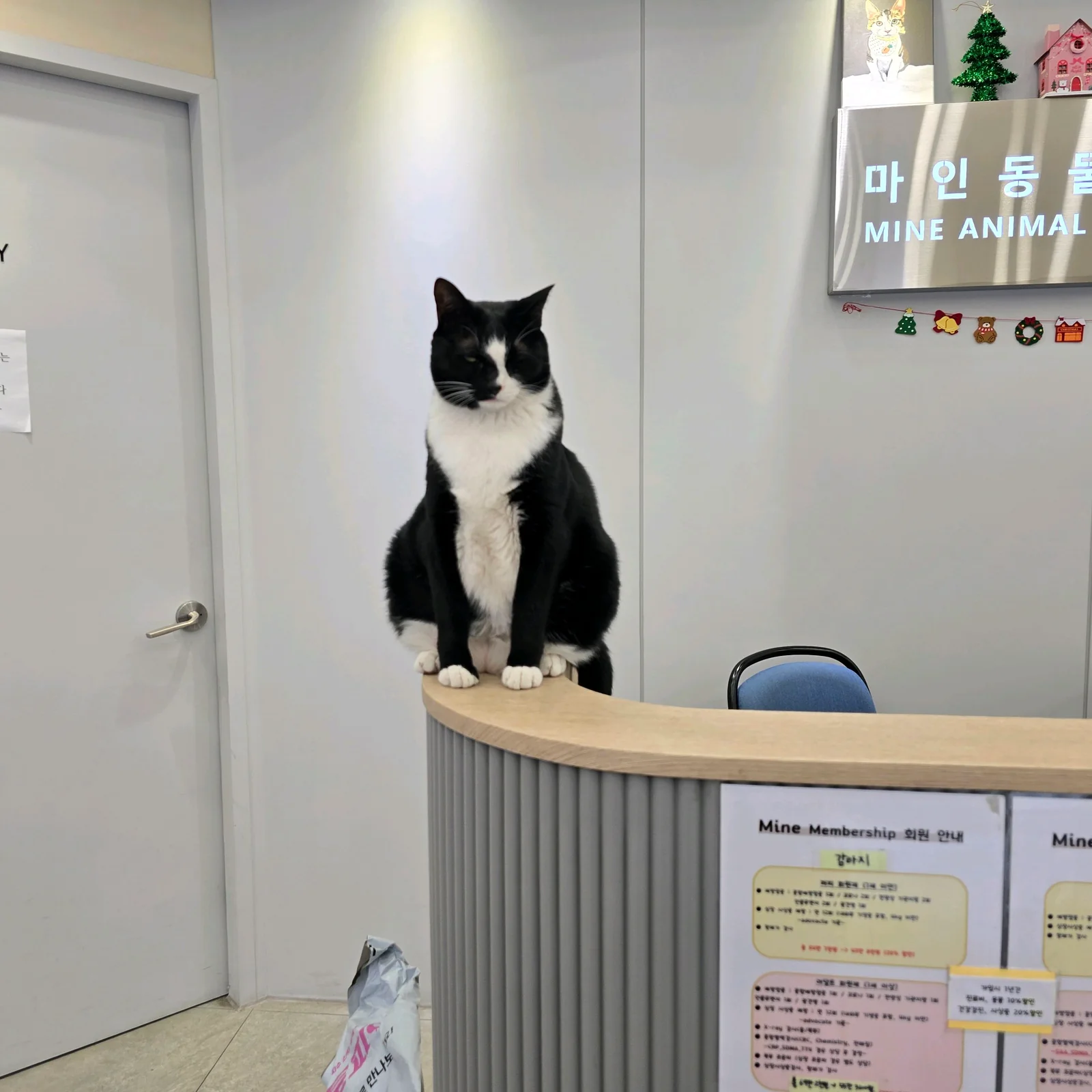 리뷰 사진 4