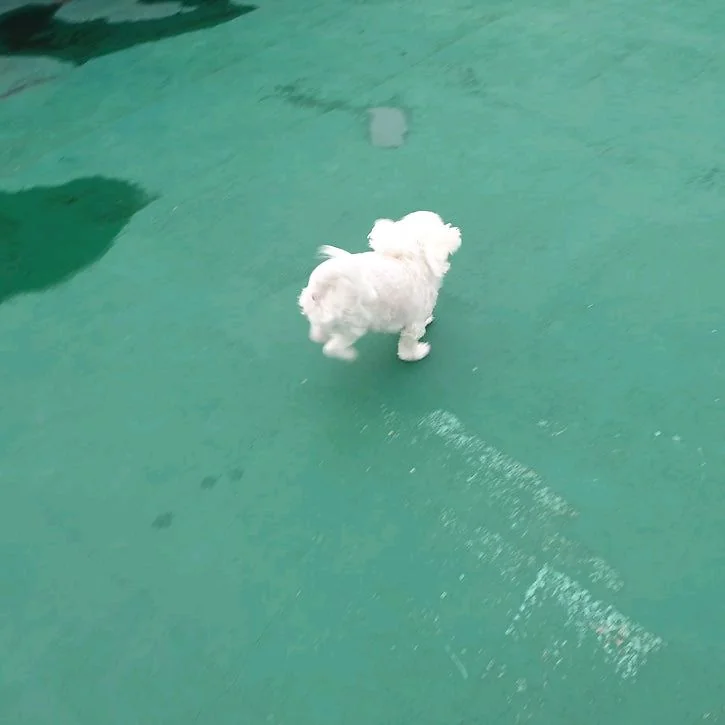 리뷰 사진 5
