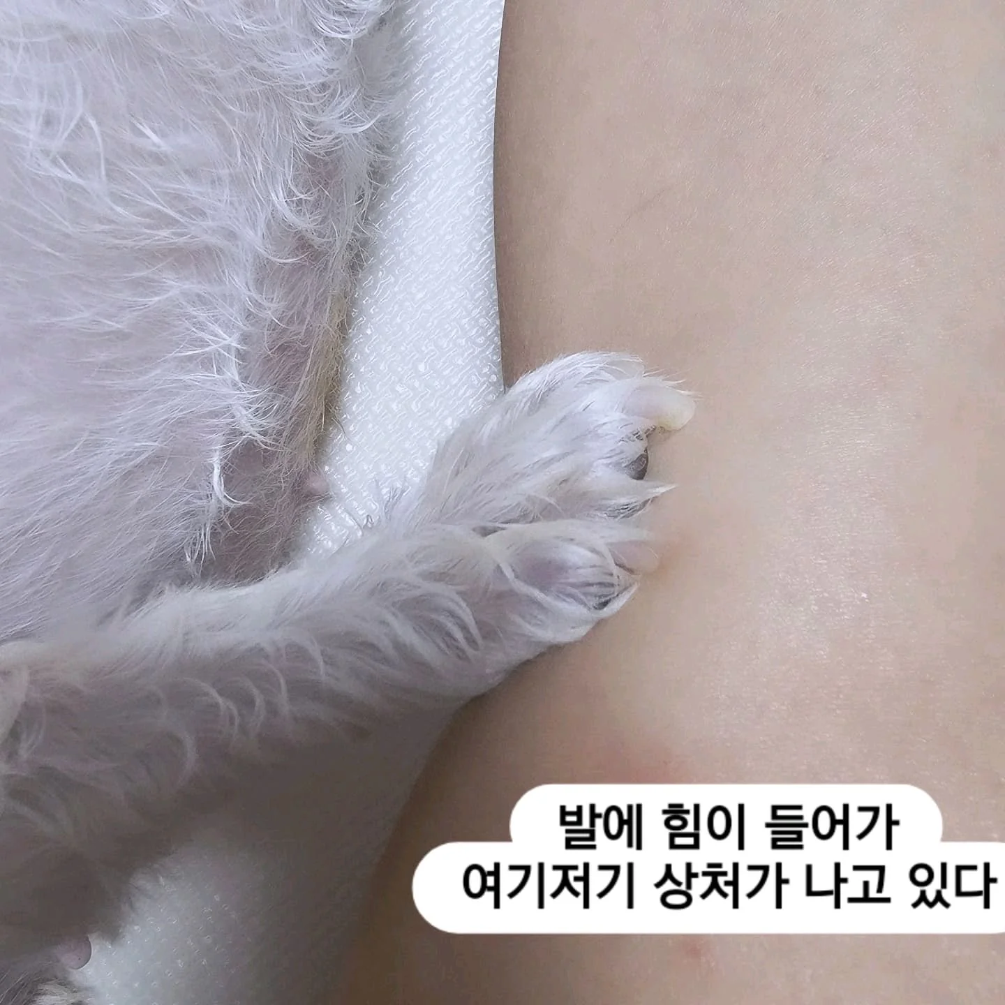 리뷰 사진 1