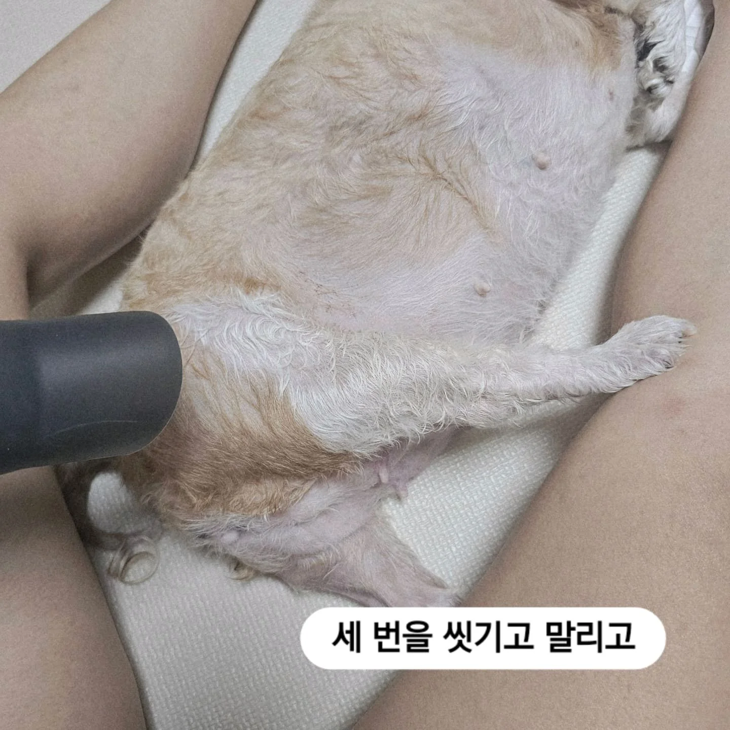 리뷰 사진 2