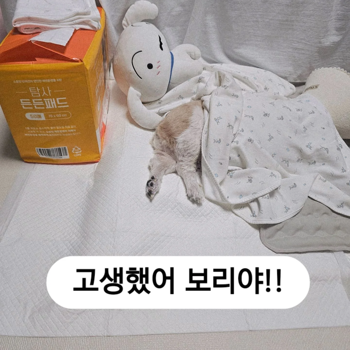 리뷰 사진 3