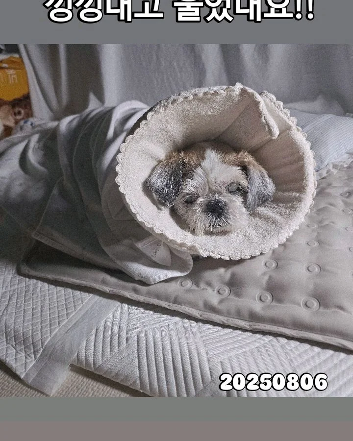리뷰 사진 4