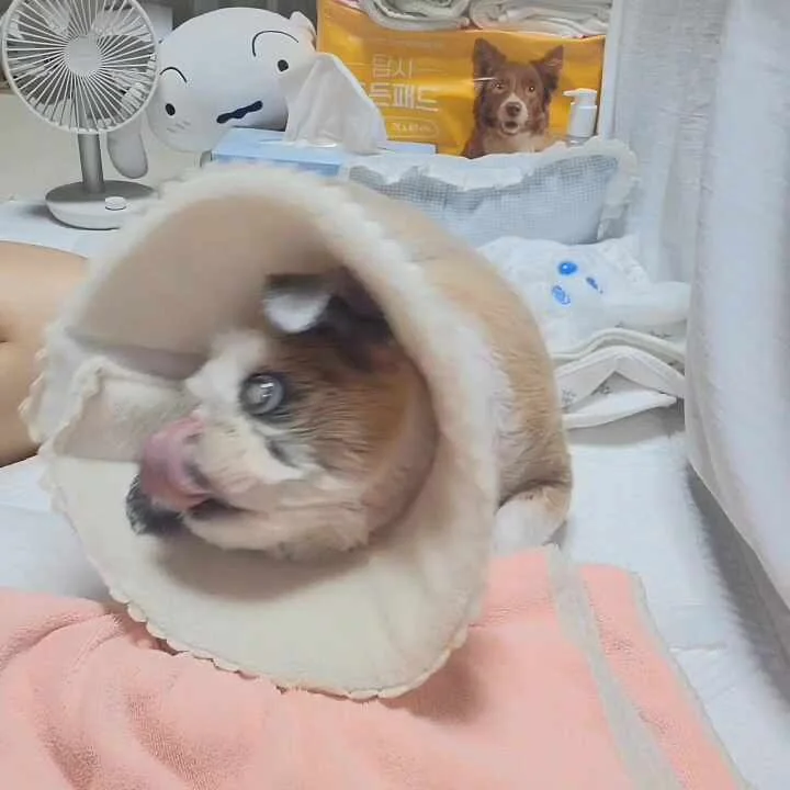 리뷰 사진 1