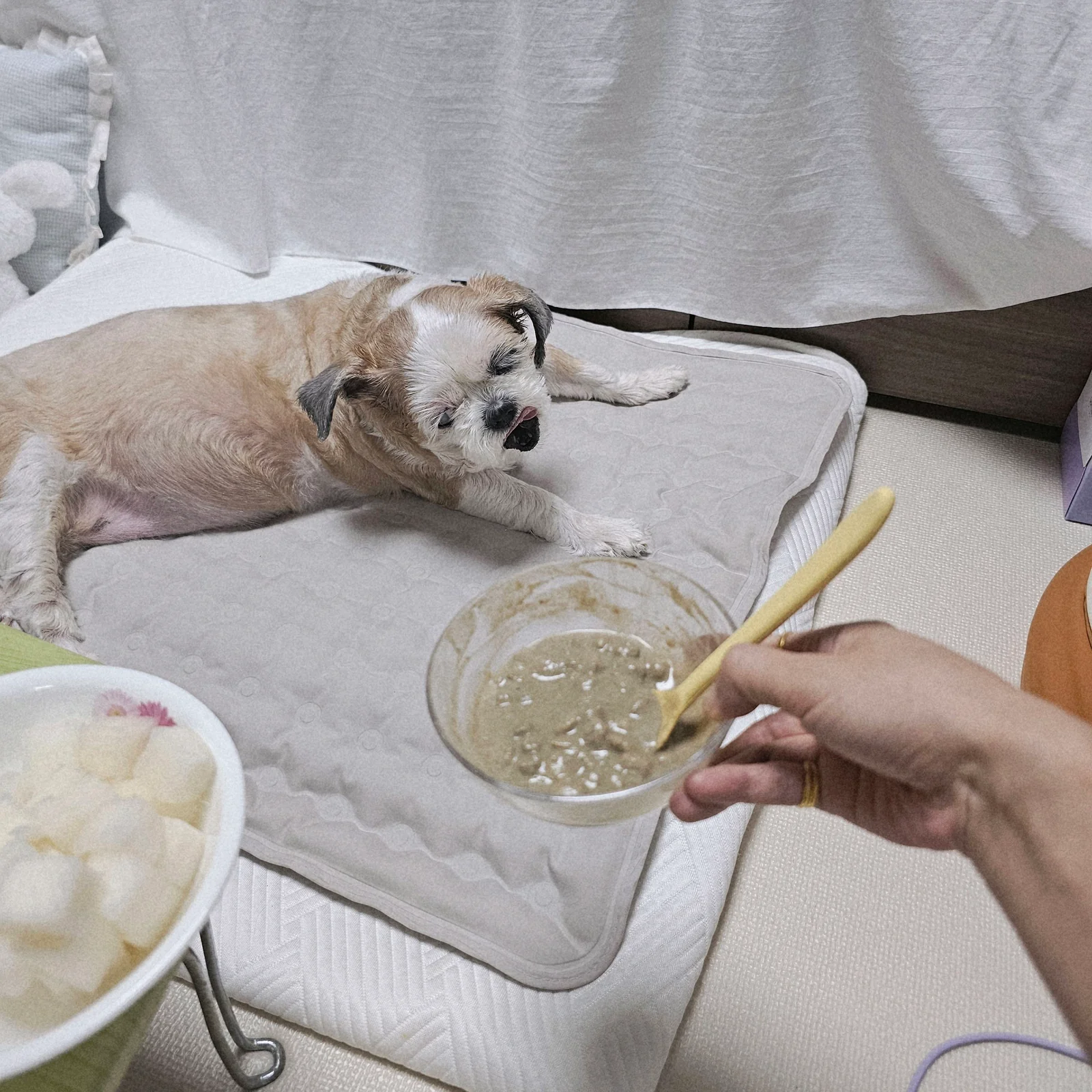 리뷰 사진 2