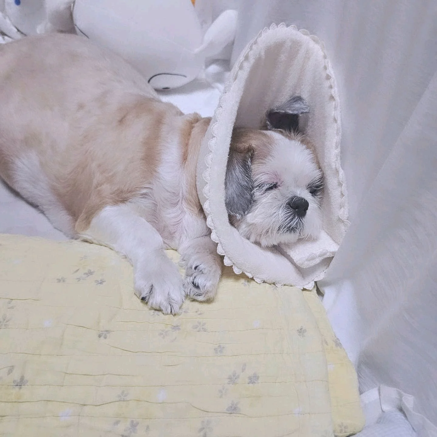 리뷰 사진 3