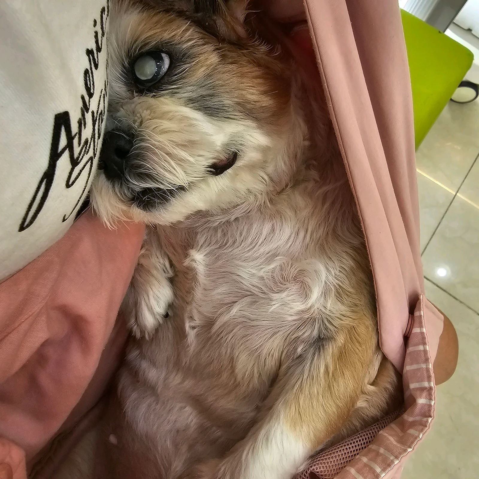 리뷰 사진 7