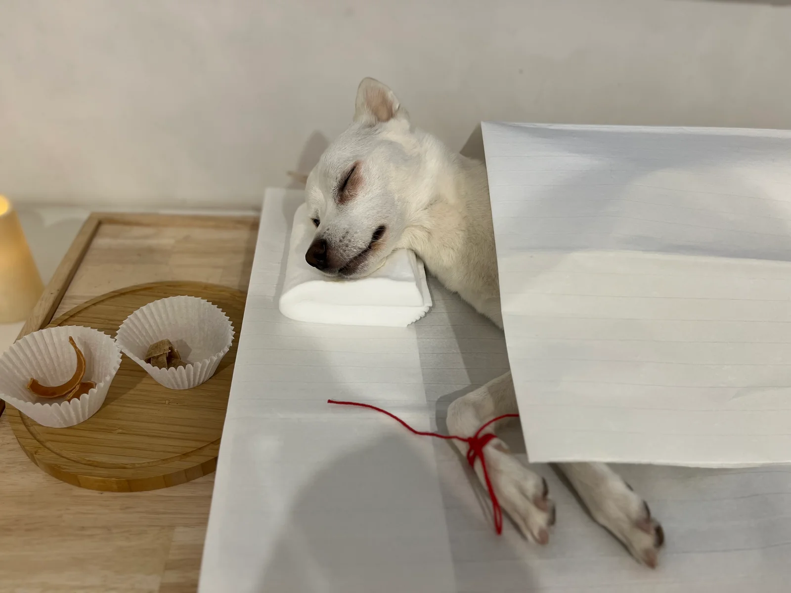리뷰 사진 4