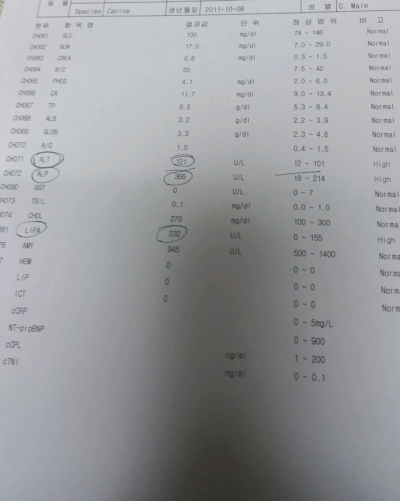 리뷰 사진 1