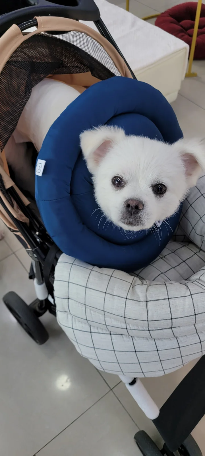 삼성동물종합병원 사진 2
