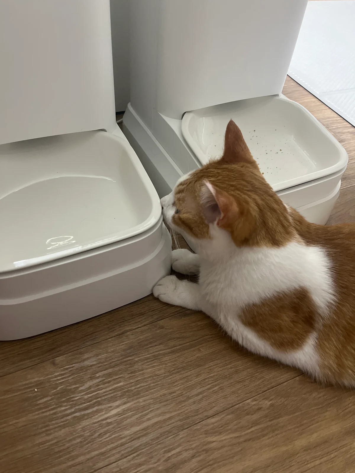 리뷰 사진 3