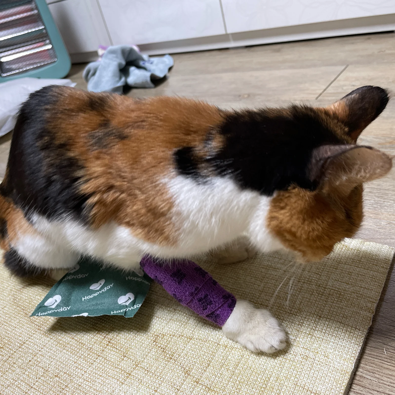 리뷰 사진 2