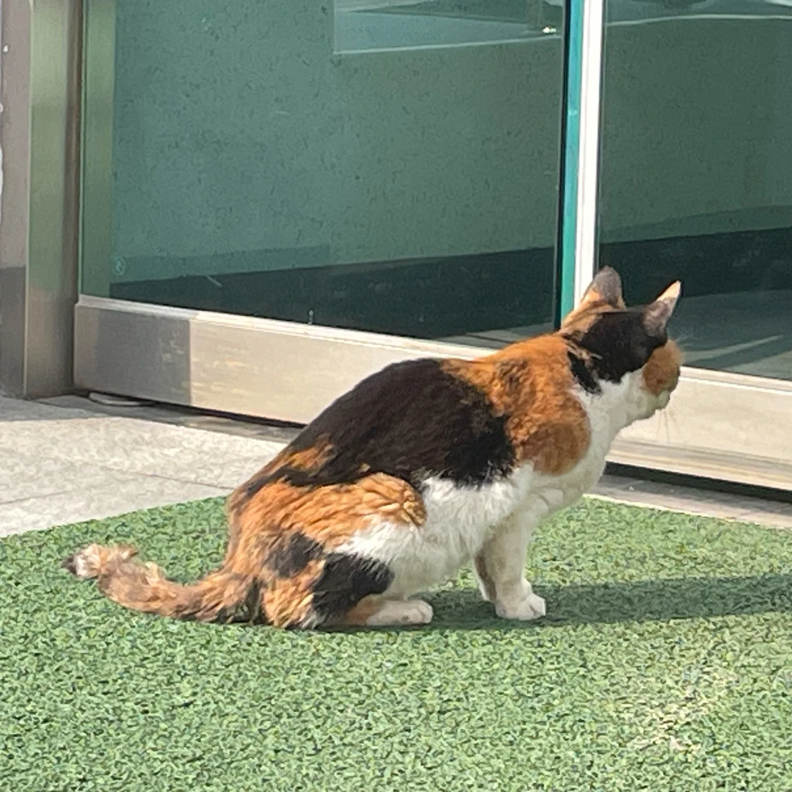 리뷰 사진 6
