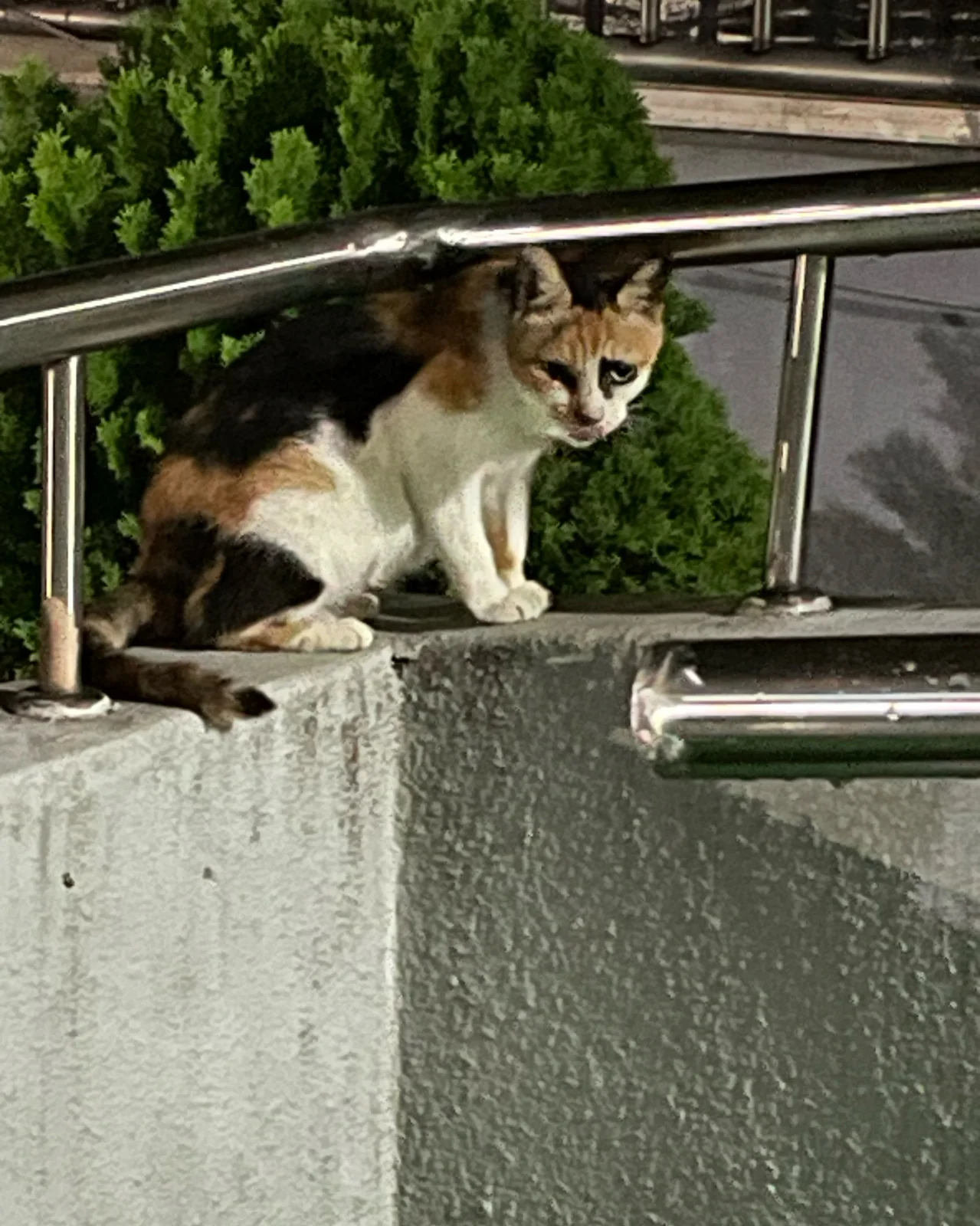 리뷰 사진 7