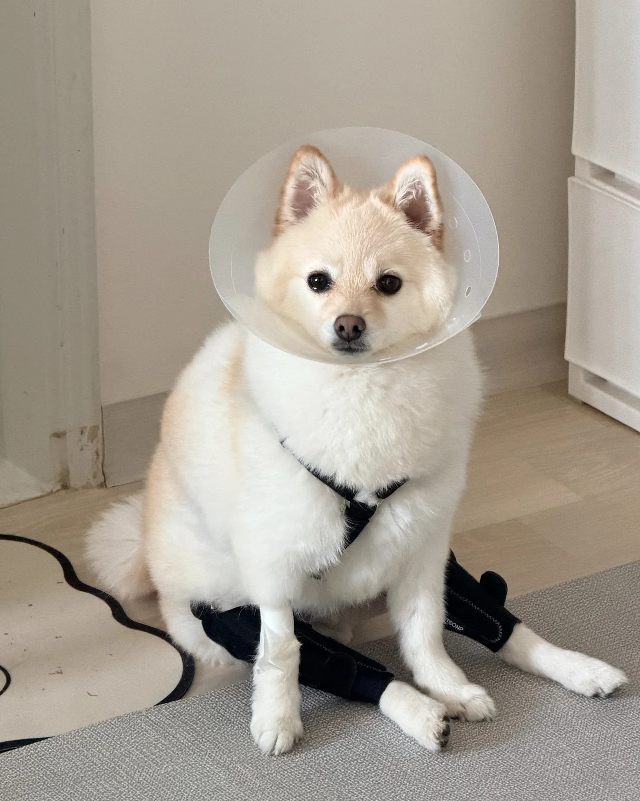리뷰 사진 1