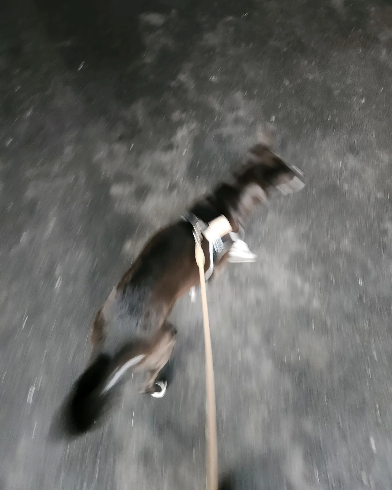 리뷰 사진 2