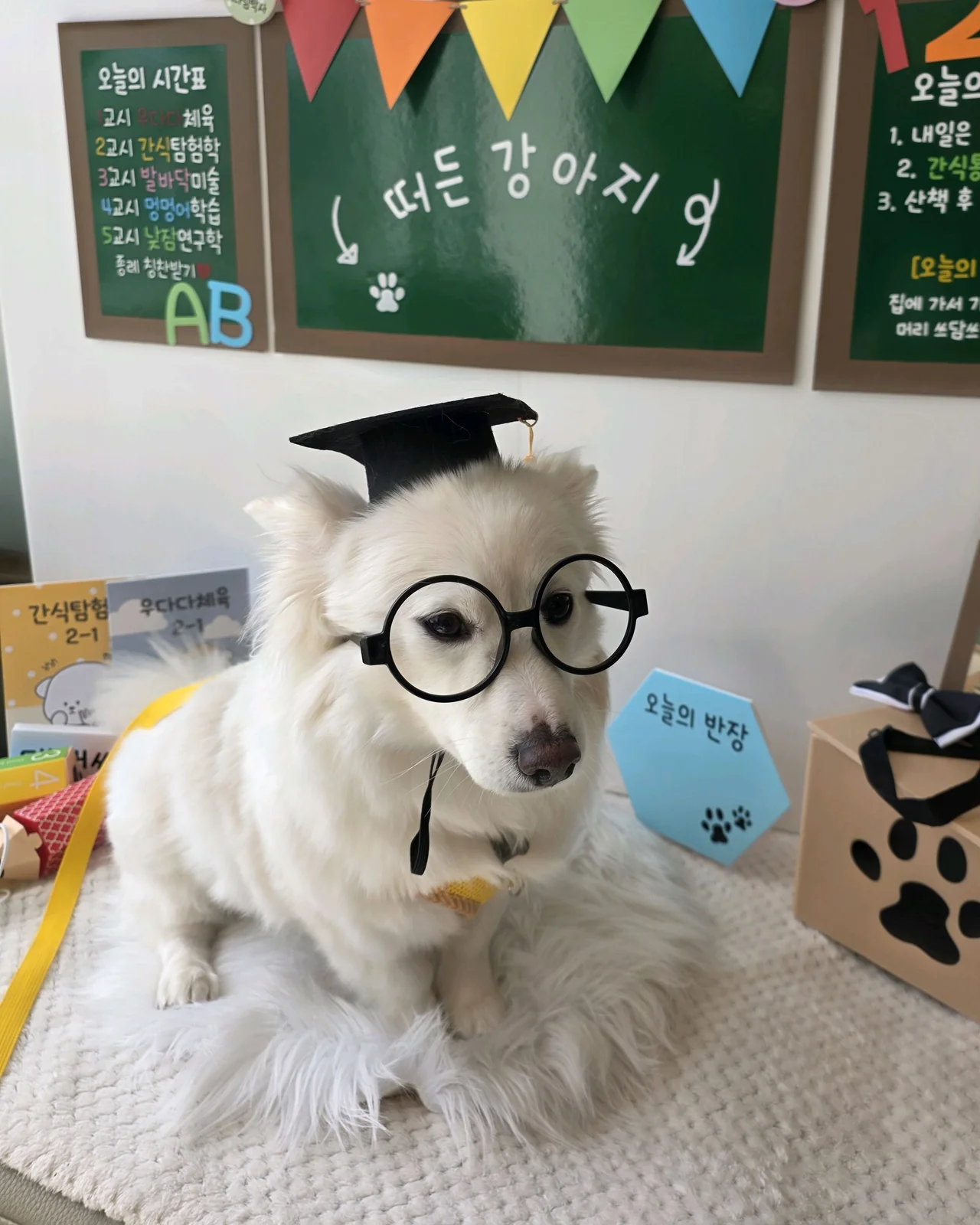 리뷰 사진 2